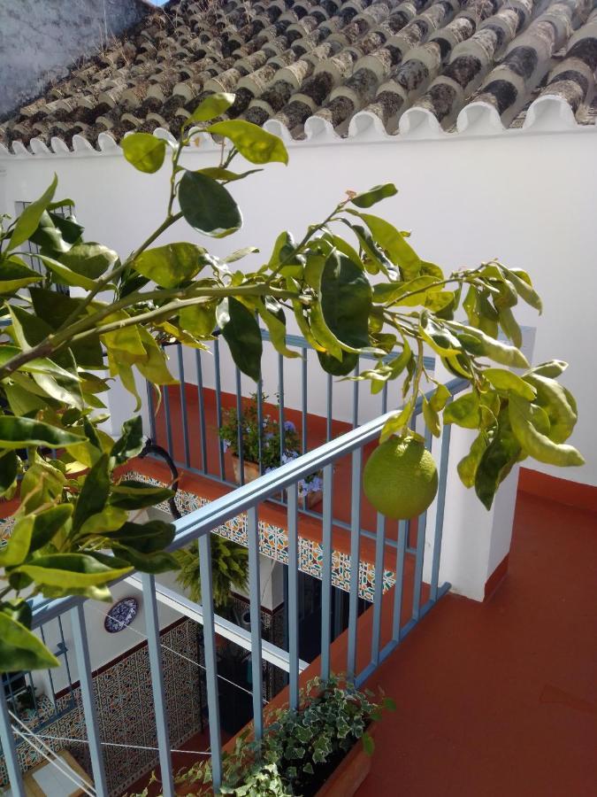 Villa La Puerta Azul Bornos Exterior foto